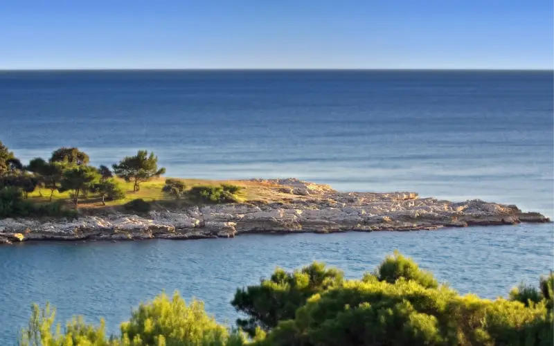 Une crique bordée de pins descend vers une mer bleue, sur une côte méditerranéenne.